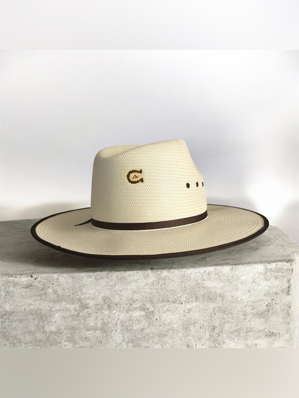 Cream Straw Rancher Hat with Brown Trim Charlie 1 horse